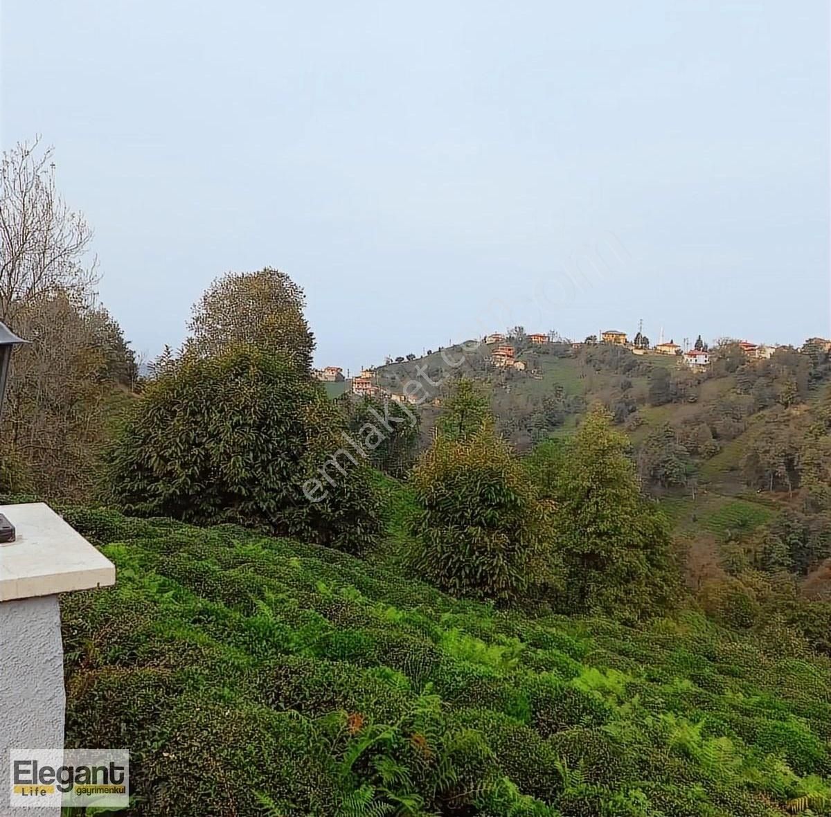 Elegant Life Gayrimenkul'den Rize Küçükköy'de Villalık Arsa