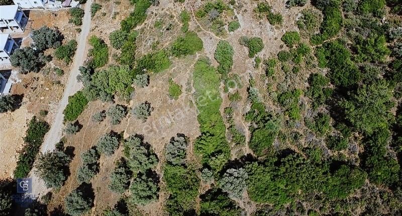 Bodrum Yalıçiftlik Yol Üzeri Satılık 1100 M2 Arsa