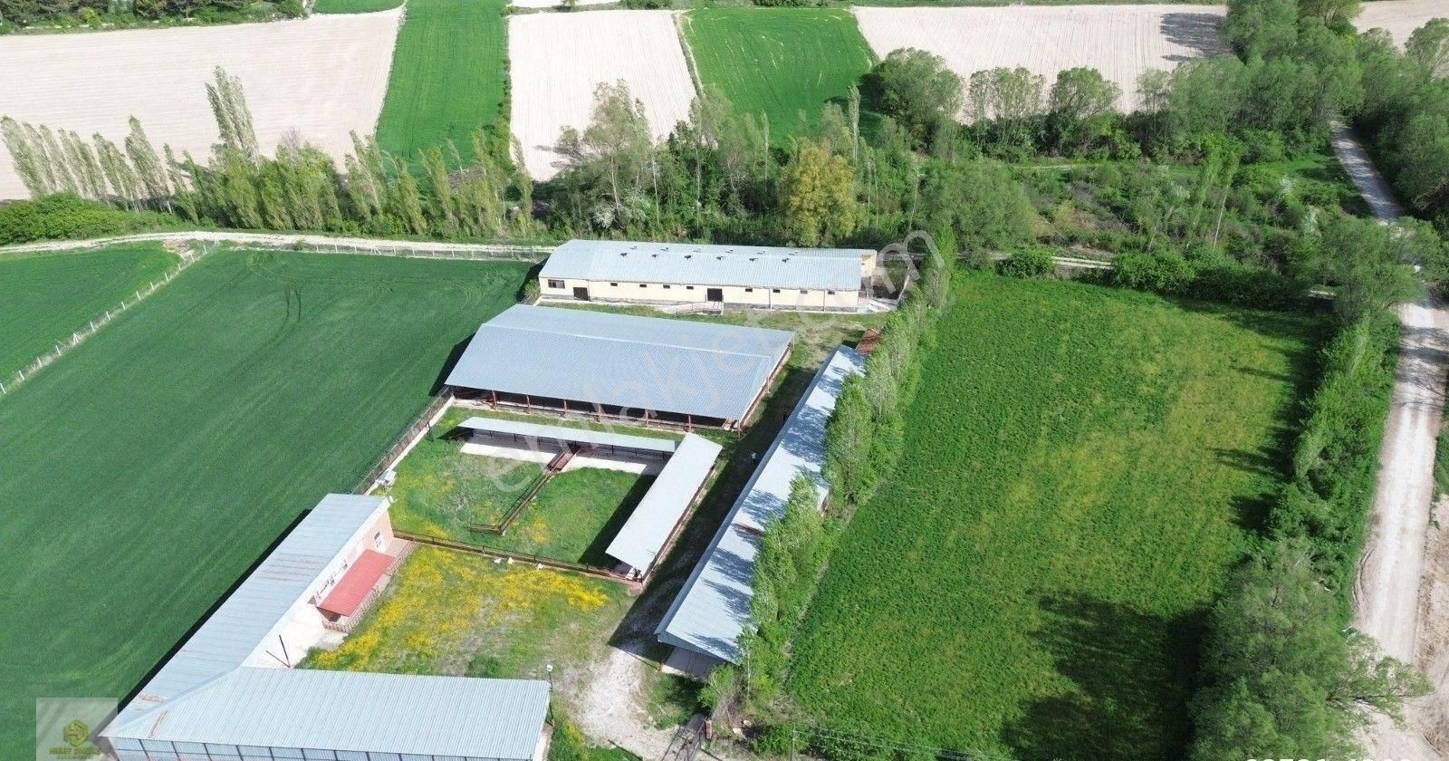 Uluçayır Mahallesinde Köy Yakını Satılık Çiftlik - Görsel 3