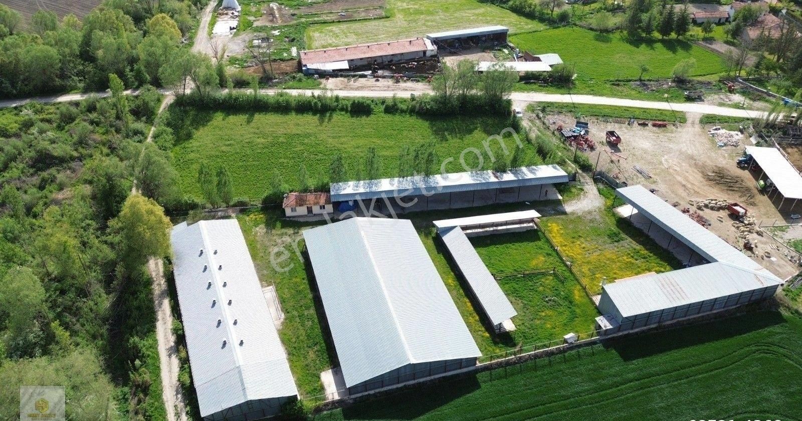 Uluçayır Mahallesinde Köy Yakını Satılık Çiftlik - Görsel 2