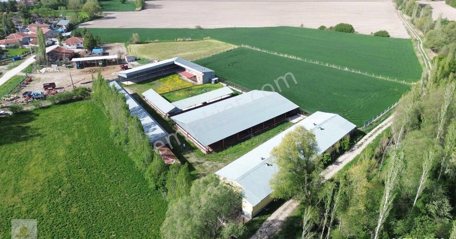 Uluçayır Mahallesinde Köy Yakını Satılık Çiftlik - Görsel 5