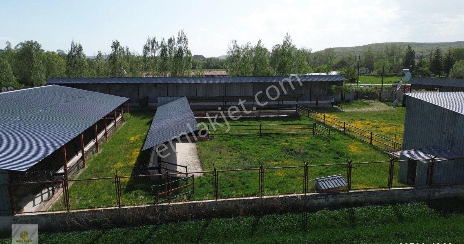 Uluçayır Mahallesinde Köy Yakını Satılık Çiftlik - Görsel 4