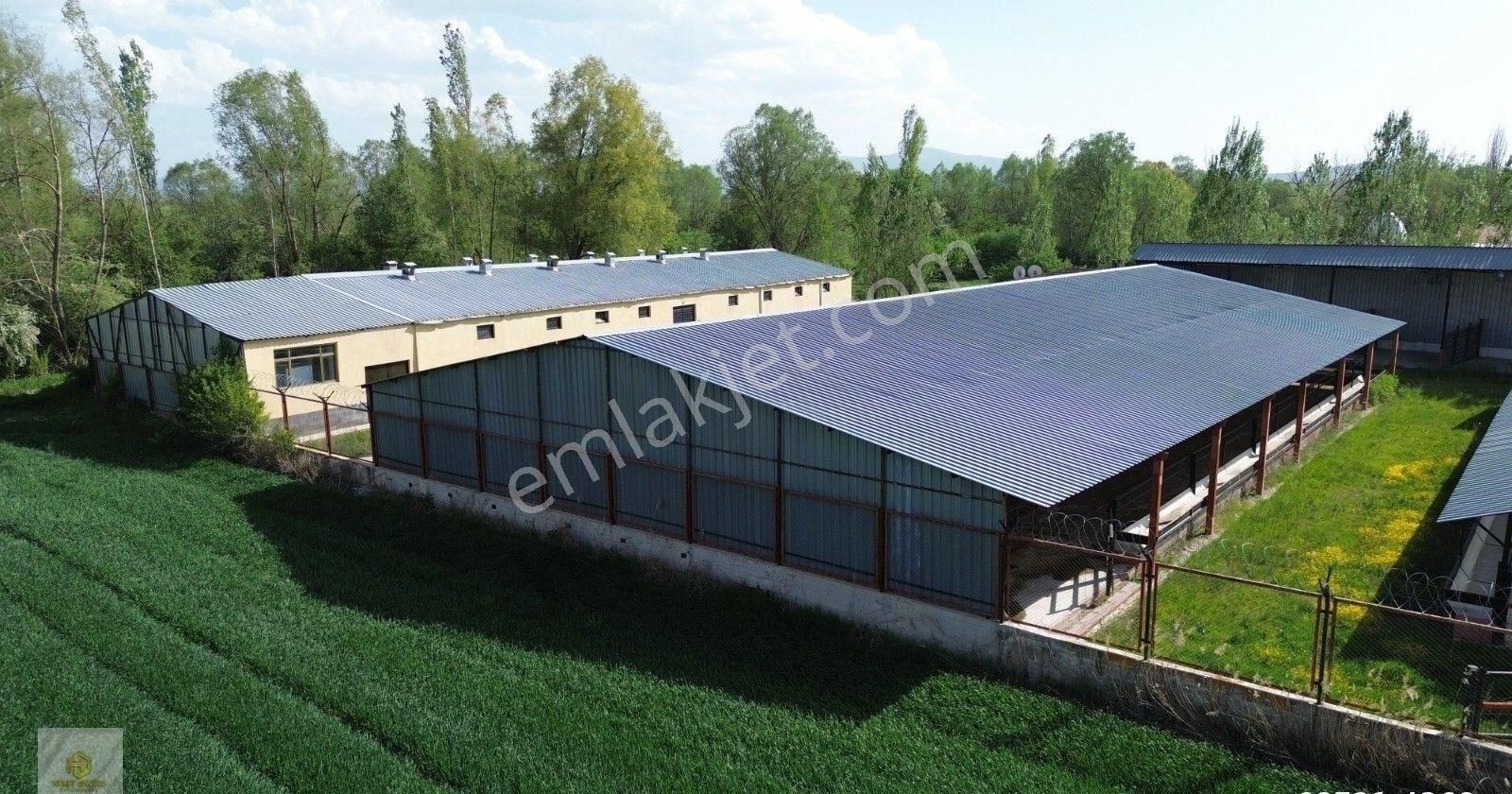 Uluçayır Mahallesinde Köy Yakını Satılık Çiftlik - Görsel 6