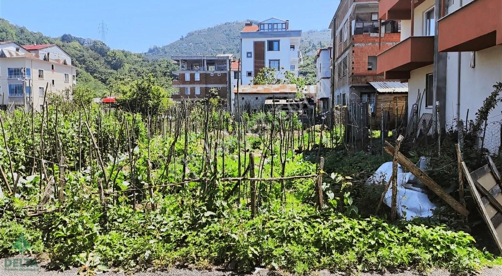 Delta Gayrimenkul'den Giresun Küçükköy Mah Satılık 200 M² Arsa..