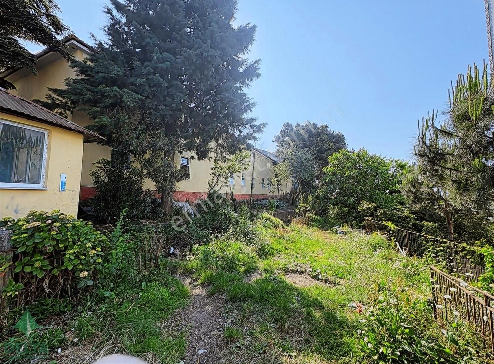 Keşap Merkez'de 2.877 M² İmarlı Satılık Arsa Fırsatı!