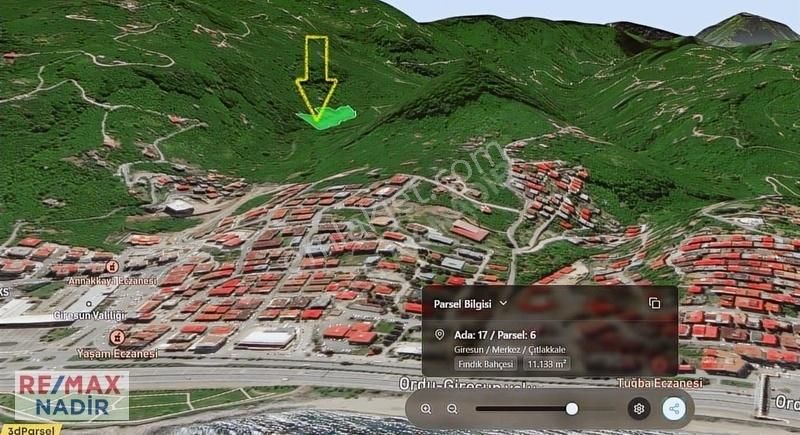 Remax Çıtlakkale'de Yatırımlık Fırsat! 11 Dönüm Fındık Bahçesi