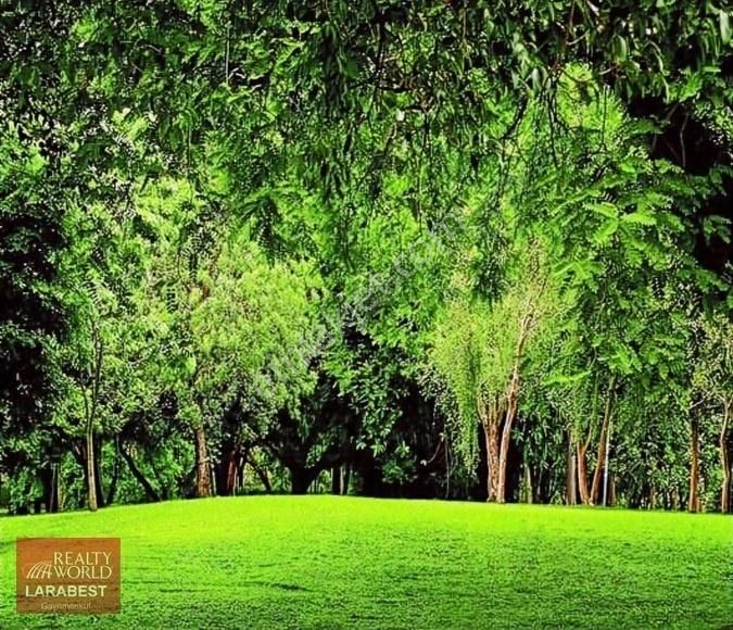 Kemer Beycik'de Özel İmarlı Arsa