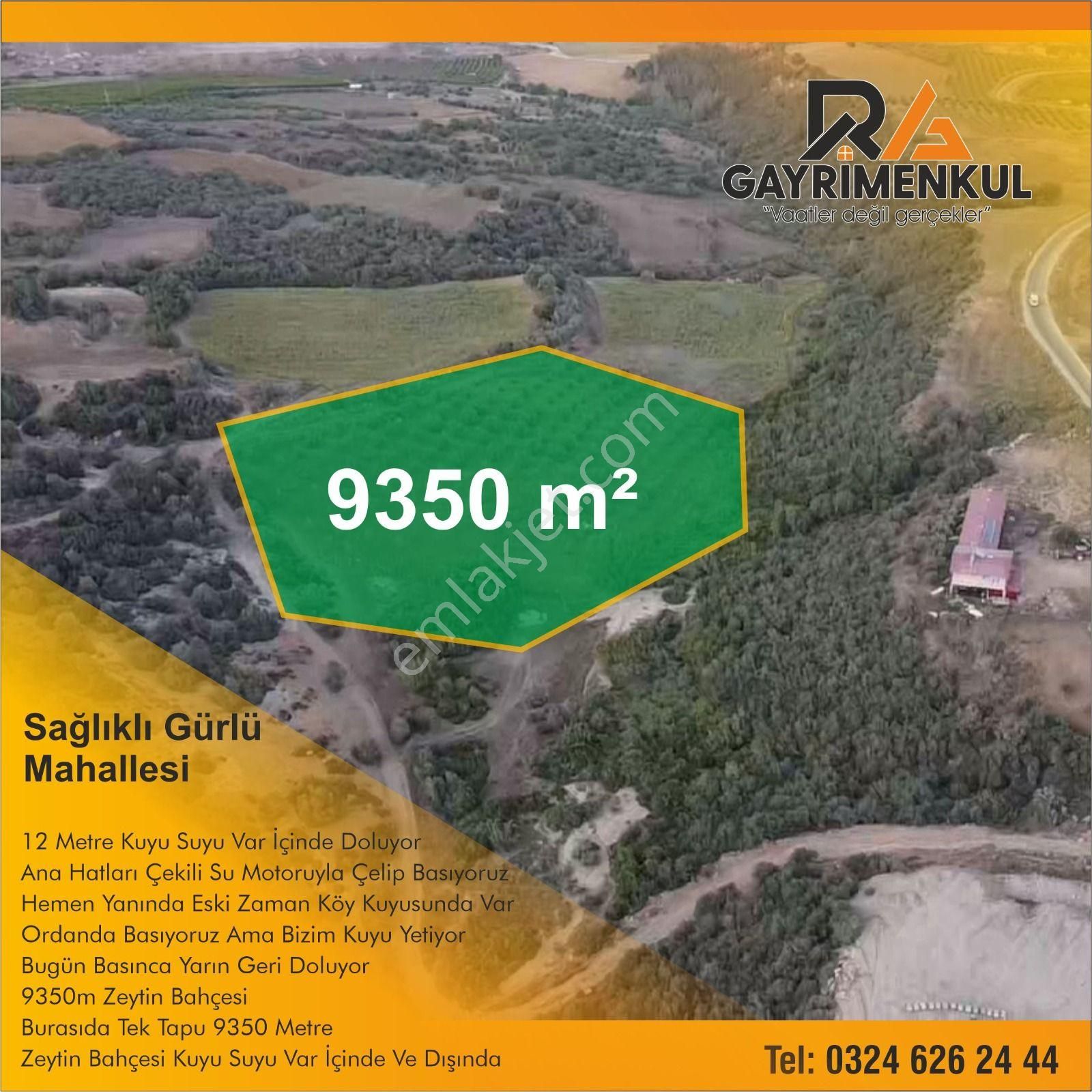 Ra Gayrimenkul Sağlıklı Gürlü Mh.satılık Zeytinlik