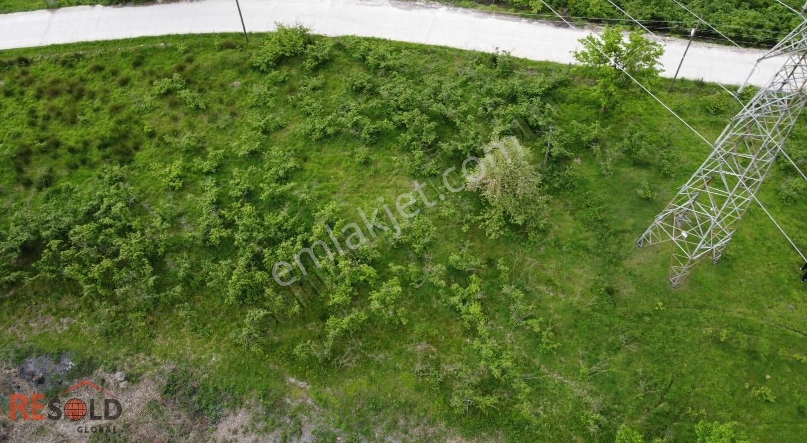 Resolddan Çatalpınarda Müstakil Tapulu 5.469 M2 Satılık Arsa..! - Görsel 3