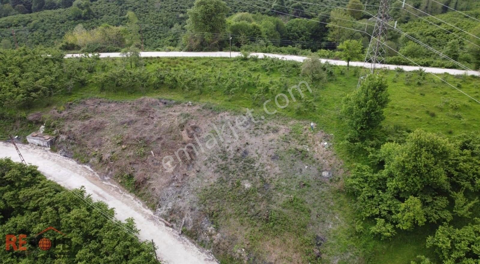 Resolddan Çatalpınarda Müstakil Tapulu 5.469 M2 Satılık Arsa..! - Görsel 4