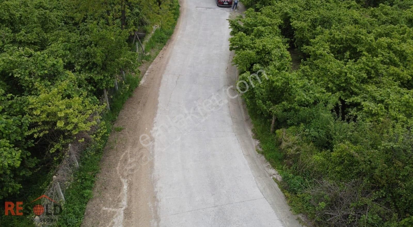 Resolddan Çatalpınarda Müstakil Tapulu 5.000 M2 Satılık Arsa..! - Görsel 3