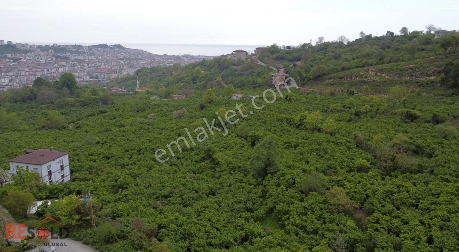 Resolddan Çatalpınarda Müstakil Tapulu 5.000 M2 Satılık Arsa..! - Görsel 10