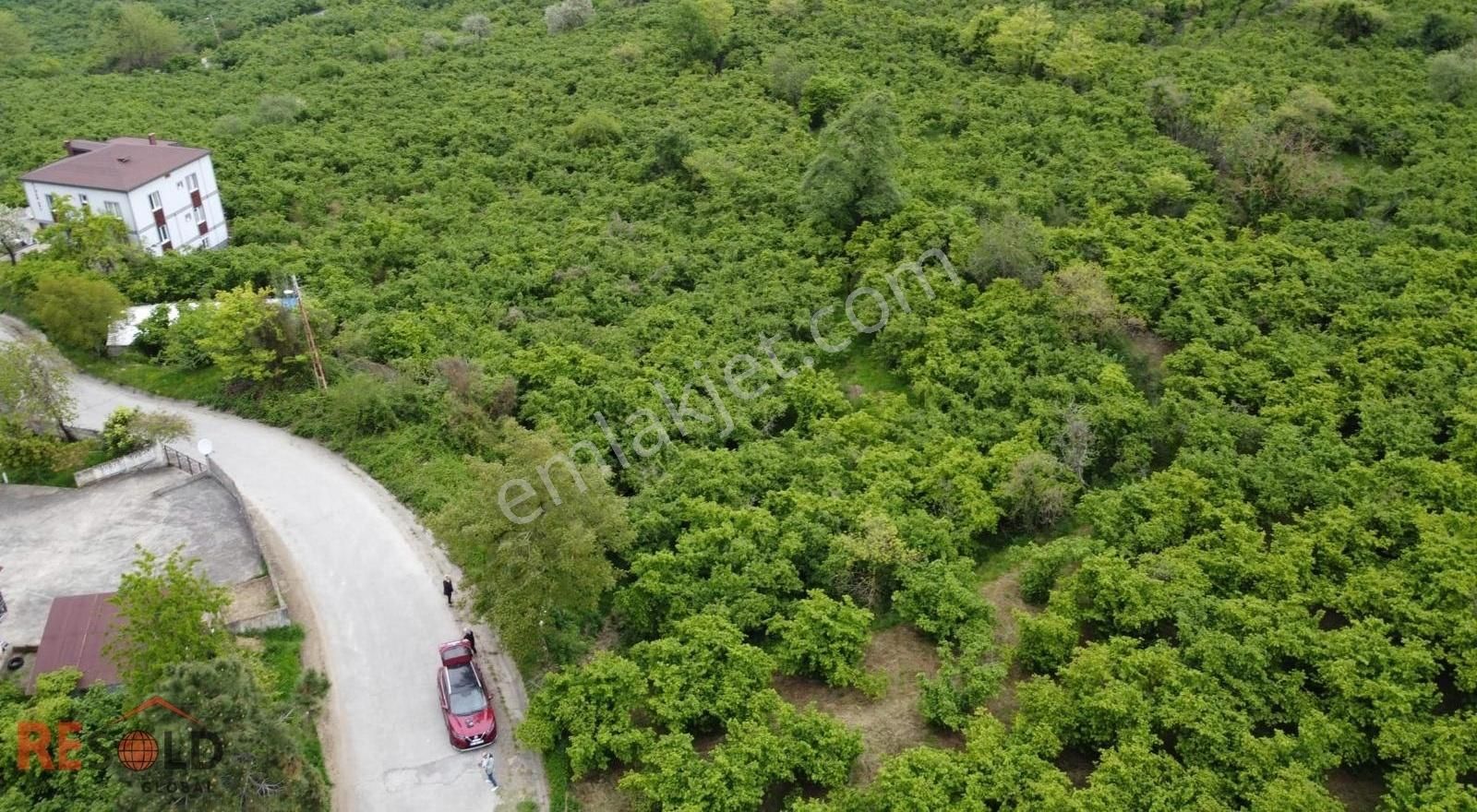 Resolddan Çatalpınarda Müstakil Tapulu 5.000 M2 Satılık Arsa..! - Görsel 11