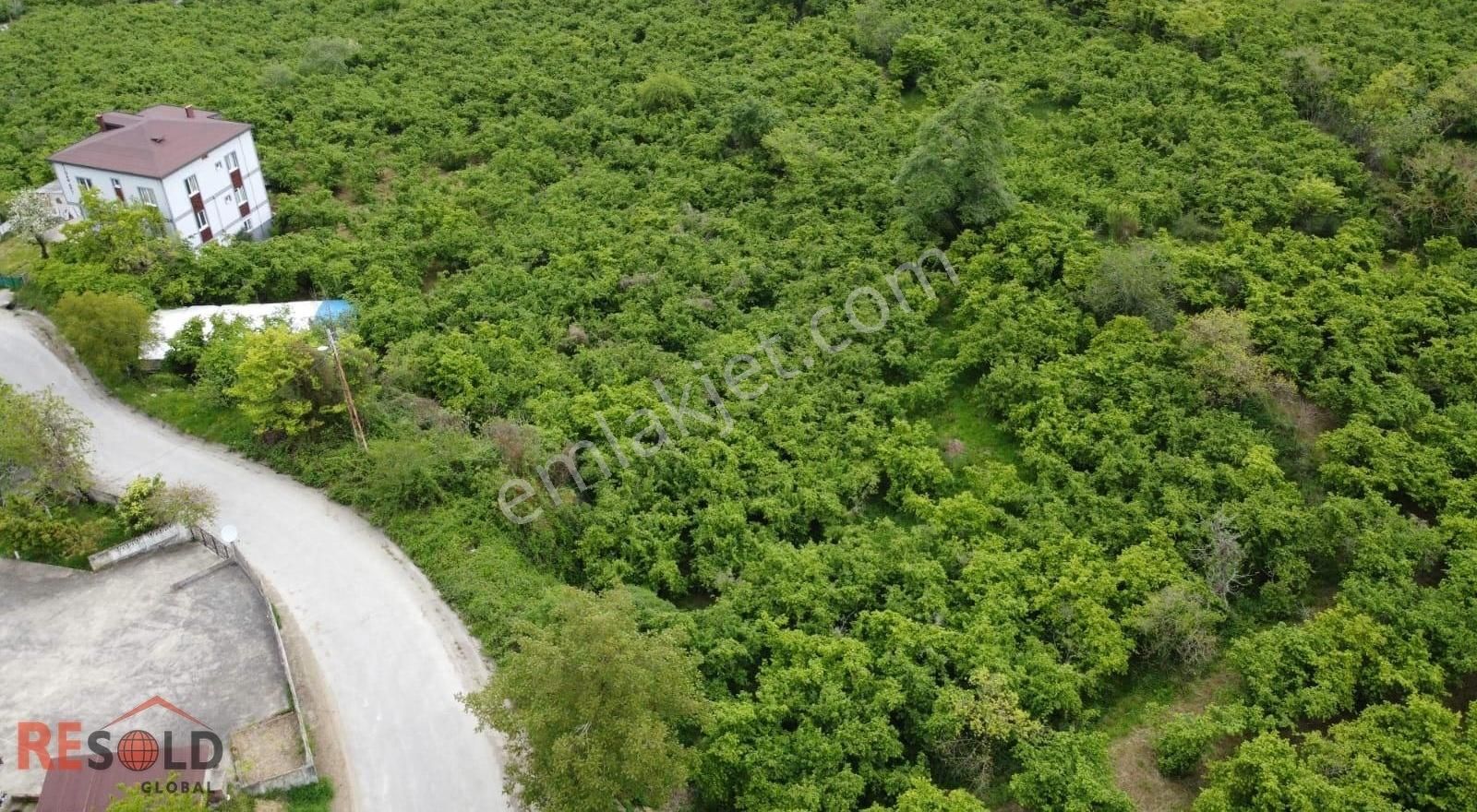 Resolddan Çatalpınarda Müstakil Tapulu 5.000 M2 Satılık Arsa..! - Görsel 9