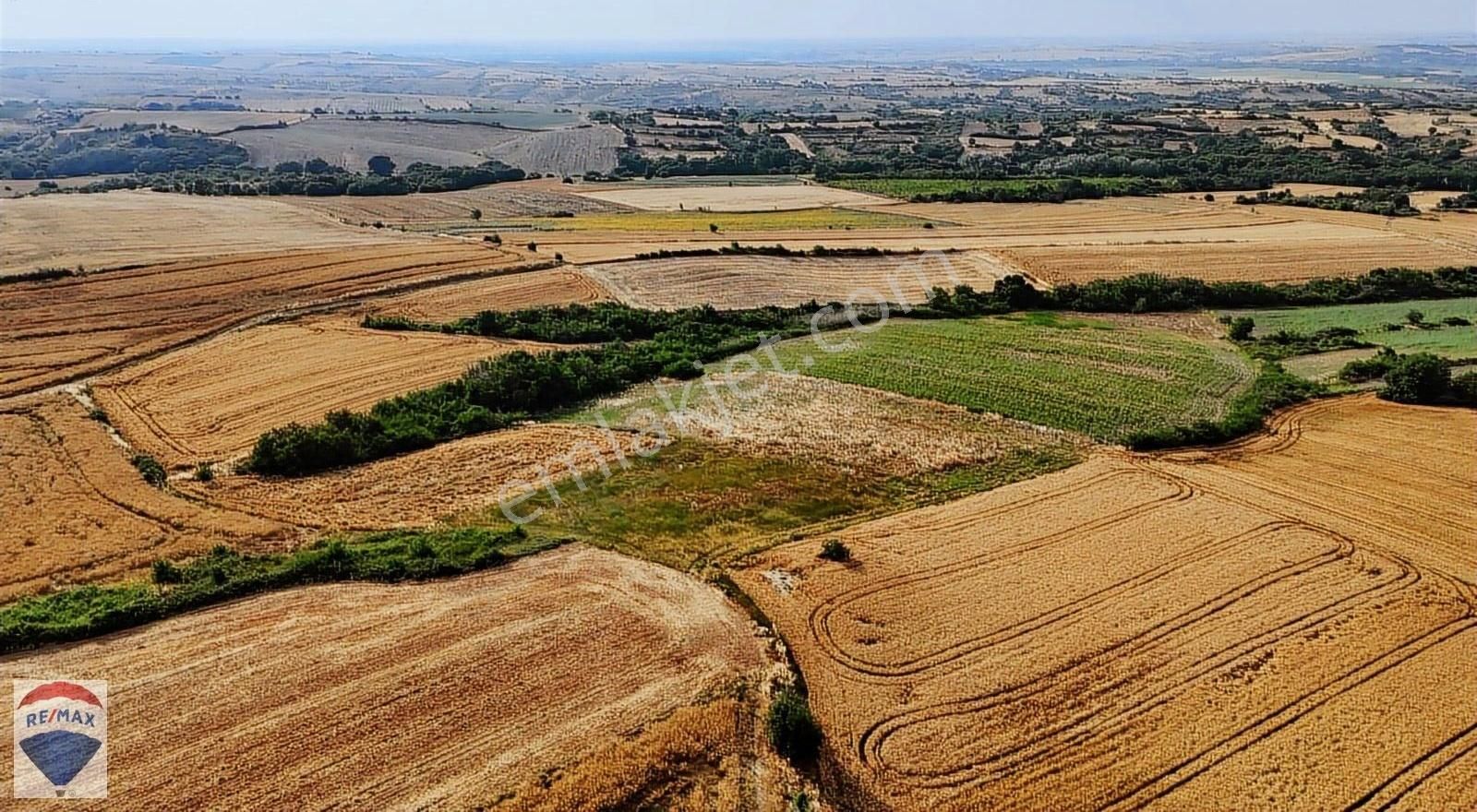 Tekirdağ Hayrabolu Hedeyli'de Satılık Tek Tapu 4.500 M2 Tarla