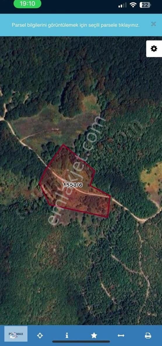 İznik Gölü Manzaralı Satılık Tarla