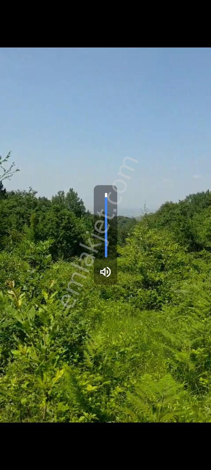 Satılık Tek Tapu Tarla - Görsel 2