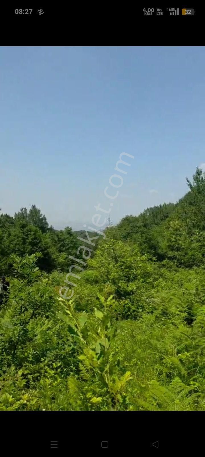 Satılık Tek Tapu Tarla