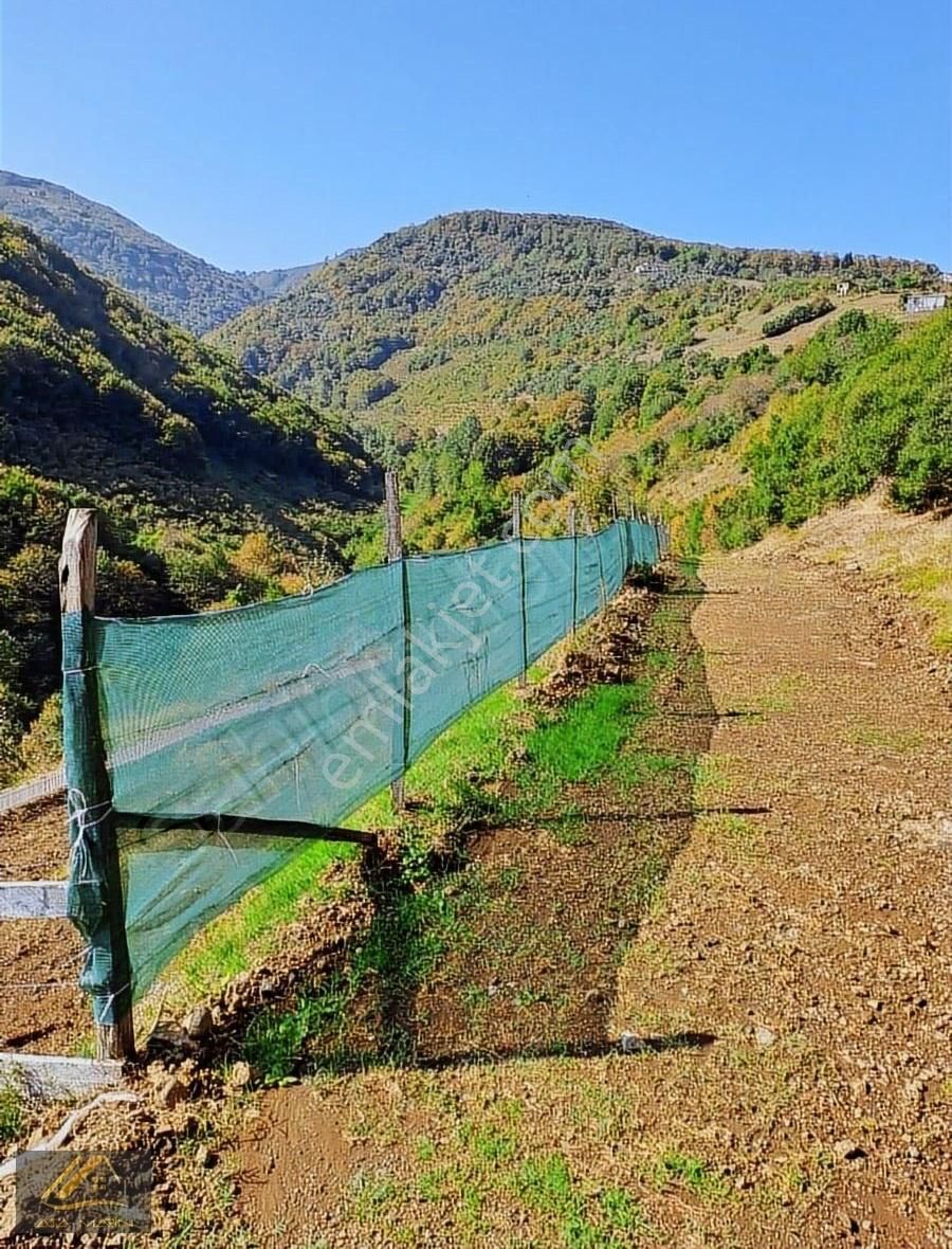 Kurugökçe De 250m Ev Yapmaya Uygun