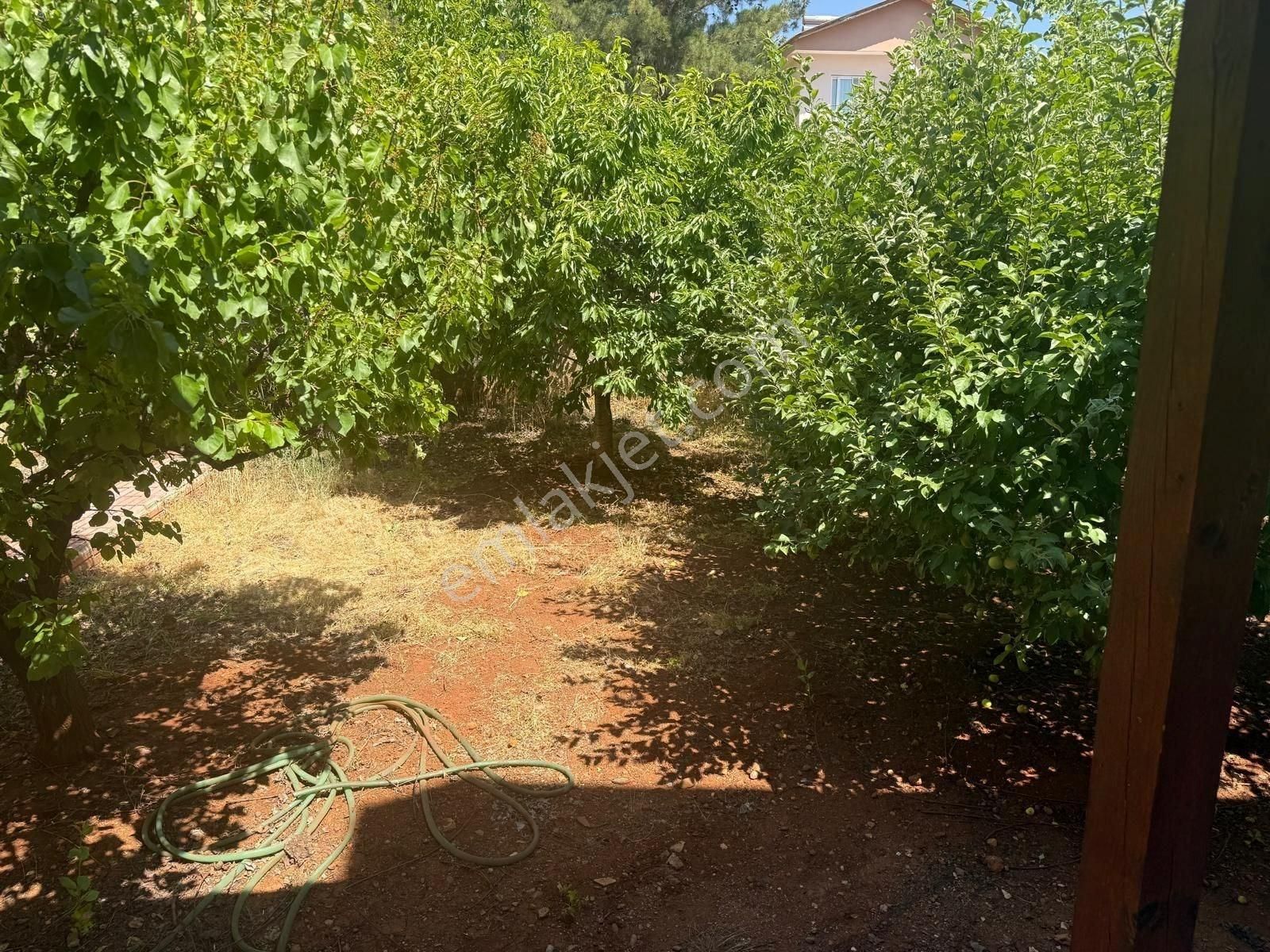 Yusuf Çağlı'dan Adana Pozanı Yenikonacık Satılık Yayla Evi