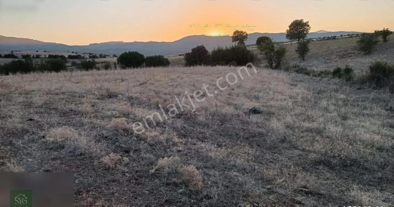 Burdur Gölhisar Çamköy'de 2400m2 Müstakil Tapulu Tarla - Görsel 4