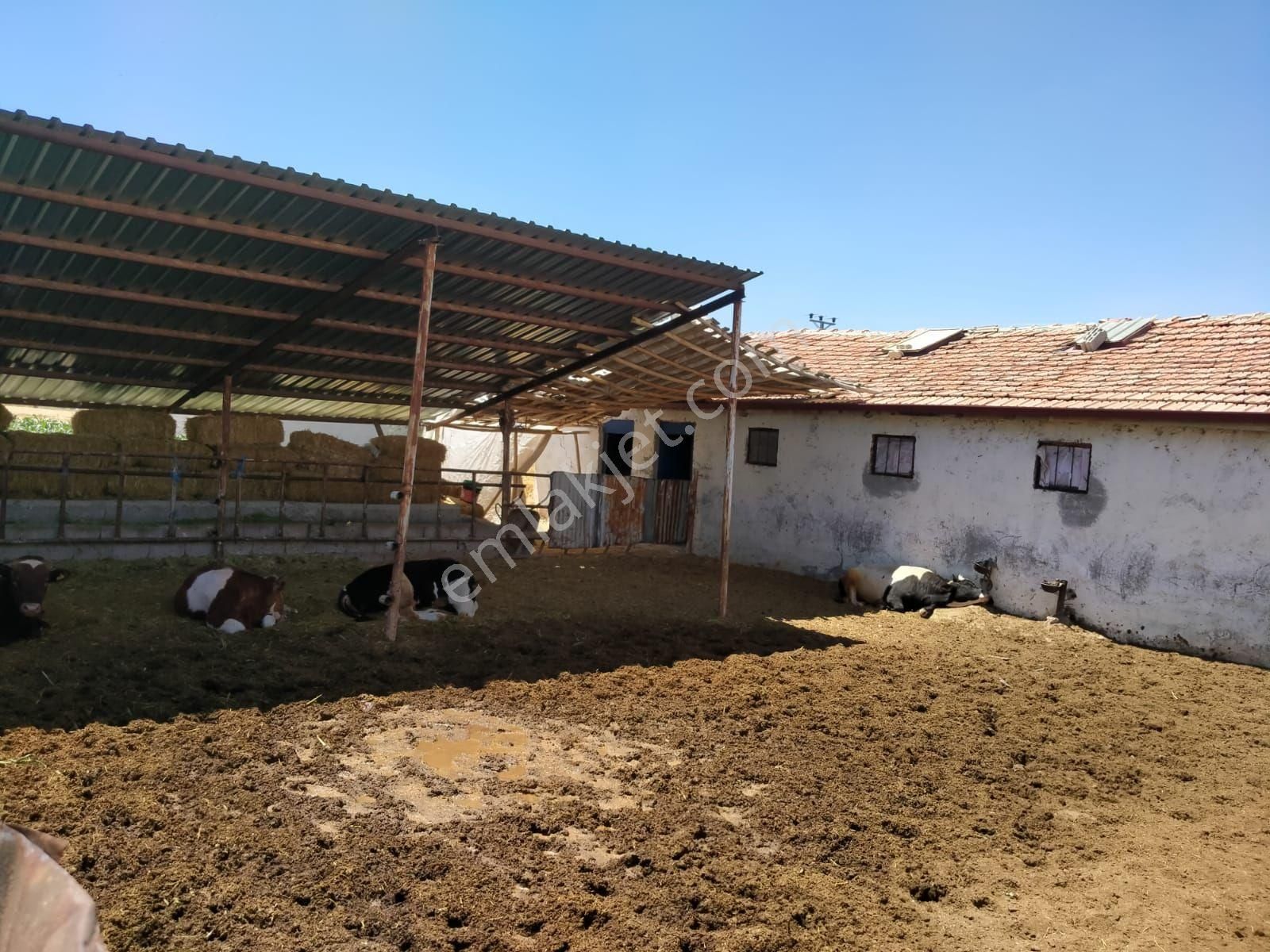 Konya Meram Aliulvi Kurucu Mah Satılık 5400 Metrekare Tarla İcinde2 Adet Müstakil Ev Ve Cardağı - Görsel 5