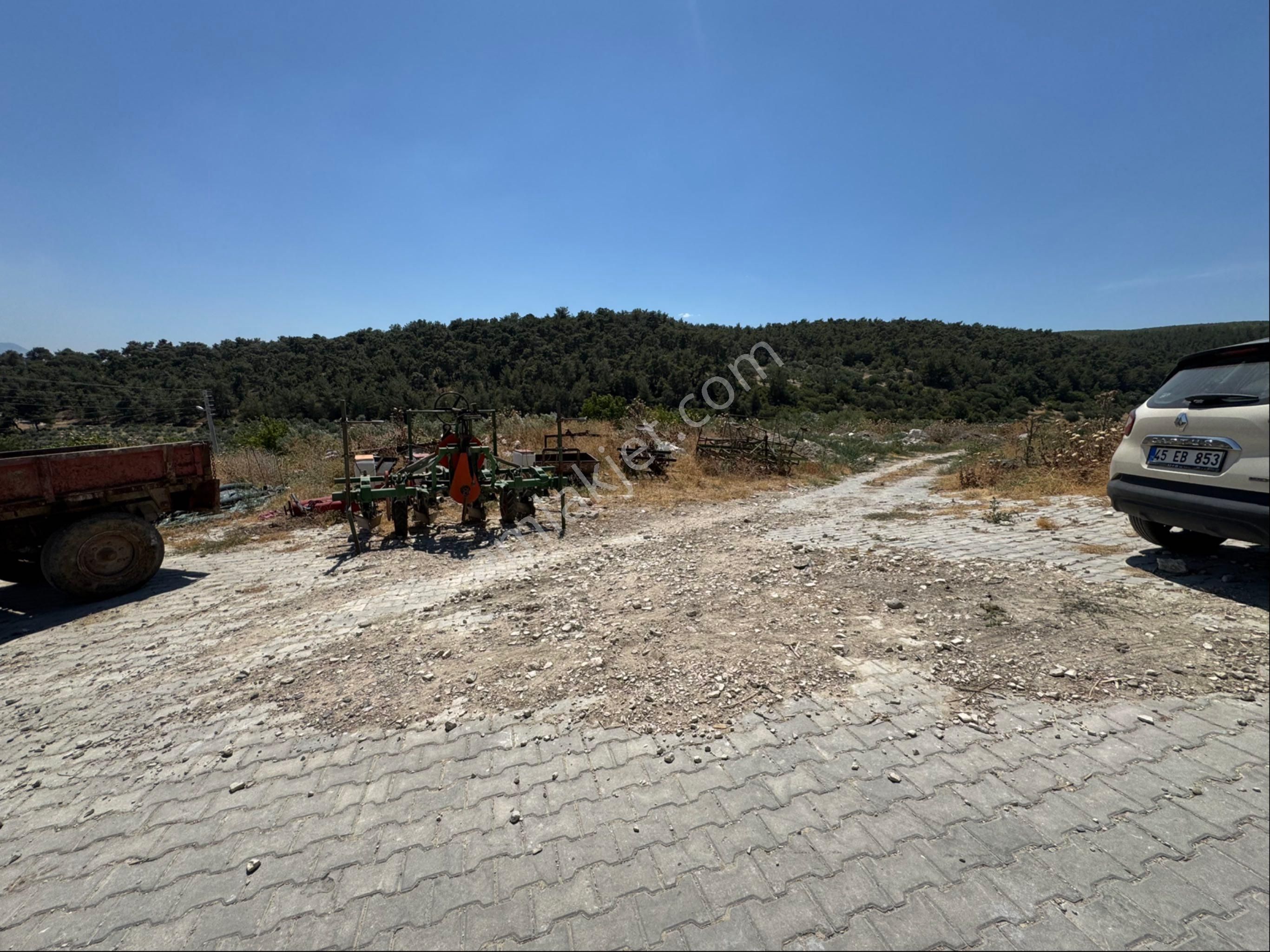 Kw'den Kalemli Mah,köye Çok Yakın,300 Ağaç,satılık Zeytinlik