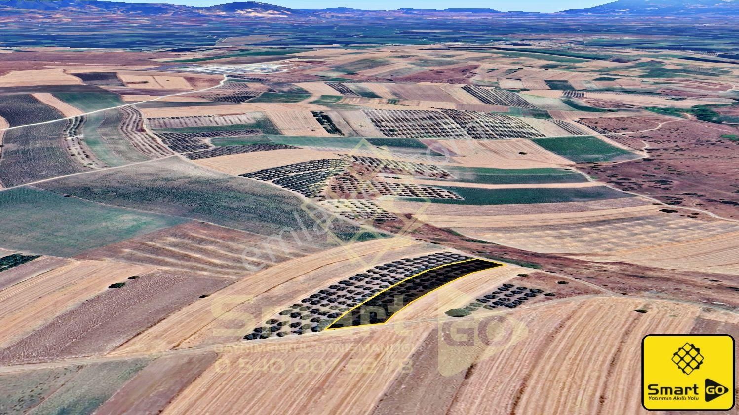 Kirazlı'da 2350 M² Satılık Tarla