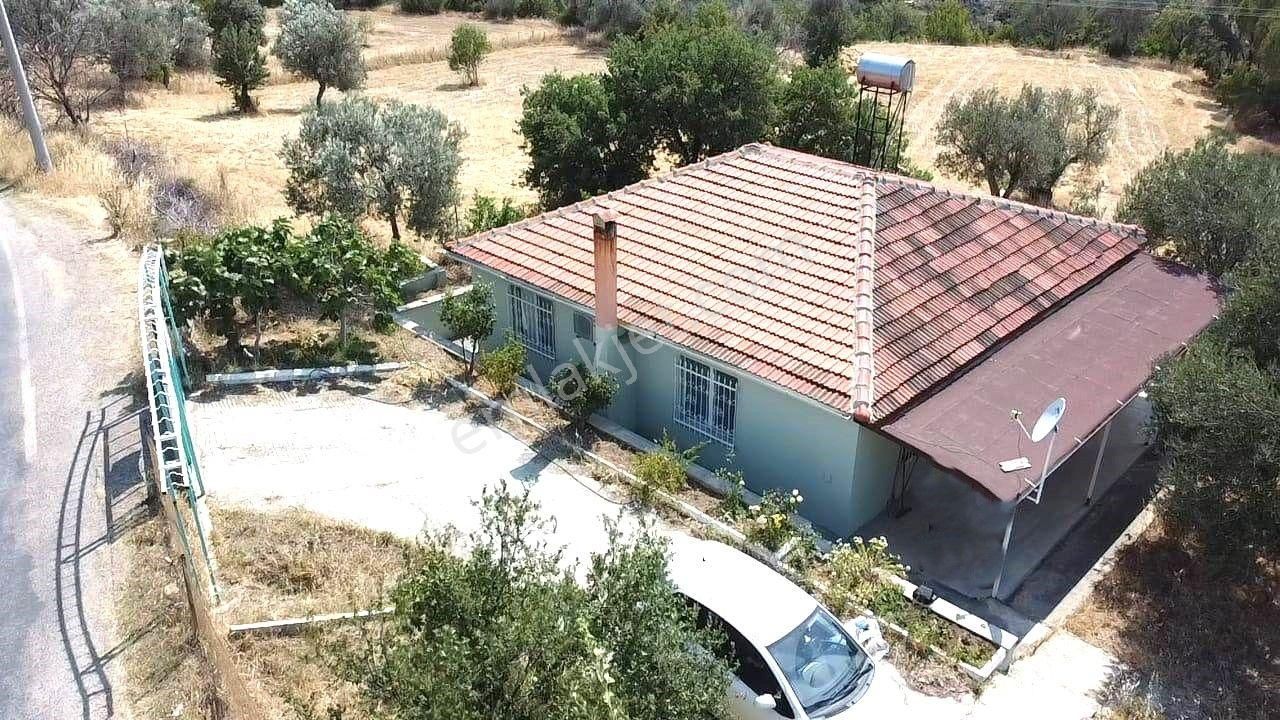 Tek Yetikili Aktiften Bahadınlıda Hayallerin Ötesinde 18 Adet Zeytin Ağacı Satılık 2+1 Müstakil Ev - Görsel 12