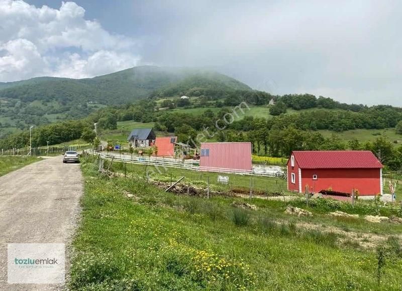 Tozluemlak'tan Çatmaolukda Satılık Tarla
