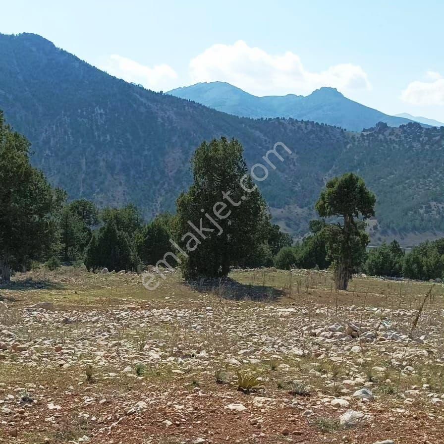 Pozantı Aşçıbekirli Fenese Mevkiinde Satılık Arsa - Görsel 4