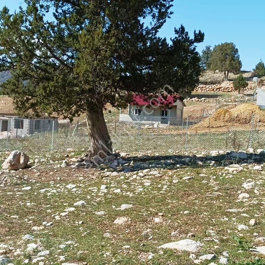Pozantı Aşçıbekirli Fenese Mevkiinde Satılık Arsa - Görsel 5