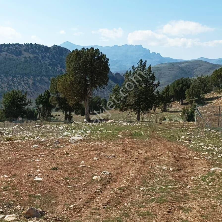 Pozantı Aşçıbekirli Fenese Mevkiinde Satılık Arsa - Görsel 9