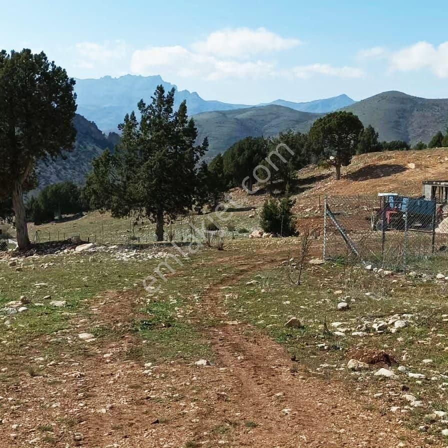 Pozantı Aşçıbekirli Fenese Mevkiinde Satılık Arsa - Görsel 7