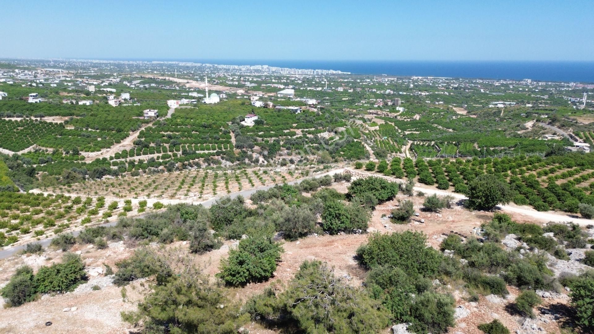 1700 M2 Tarla Full Manzara İsteyenlere
