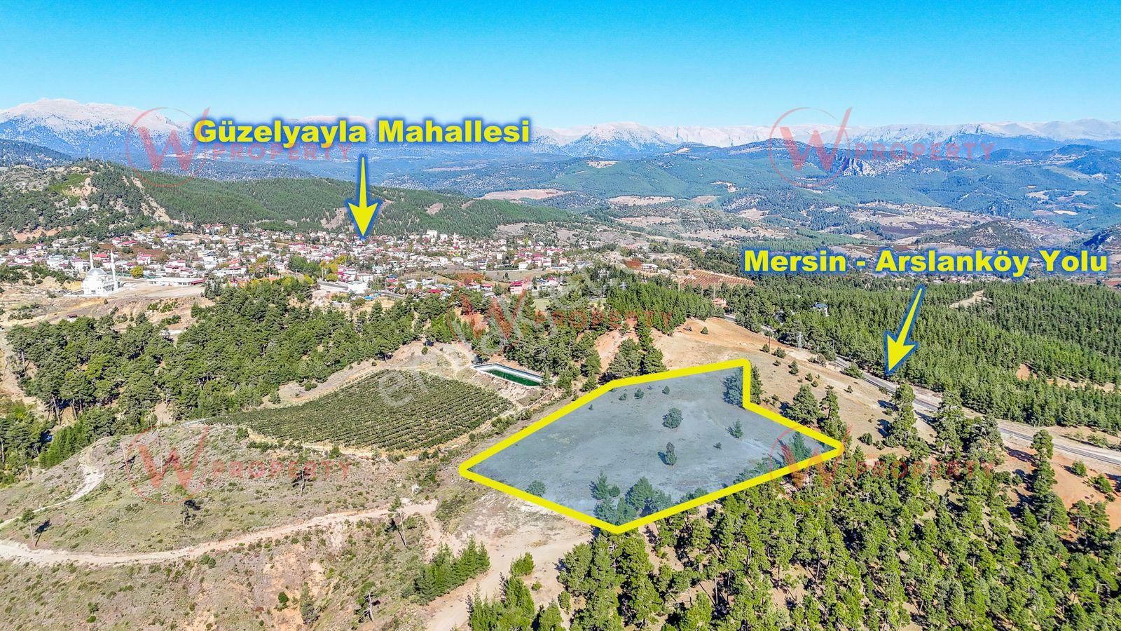 W Property Güzelyayla'da Ormanla Çevrili 12.722 M²