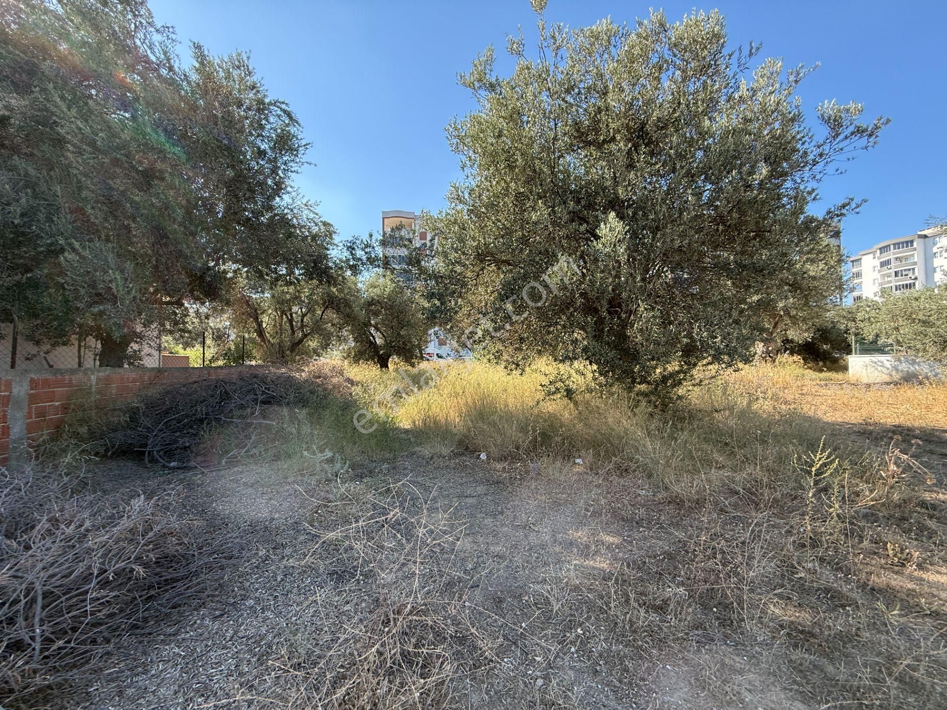 Kadıköy'de Konut İmarlı Satılık 2 Adet Arsa - Görsel 24