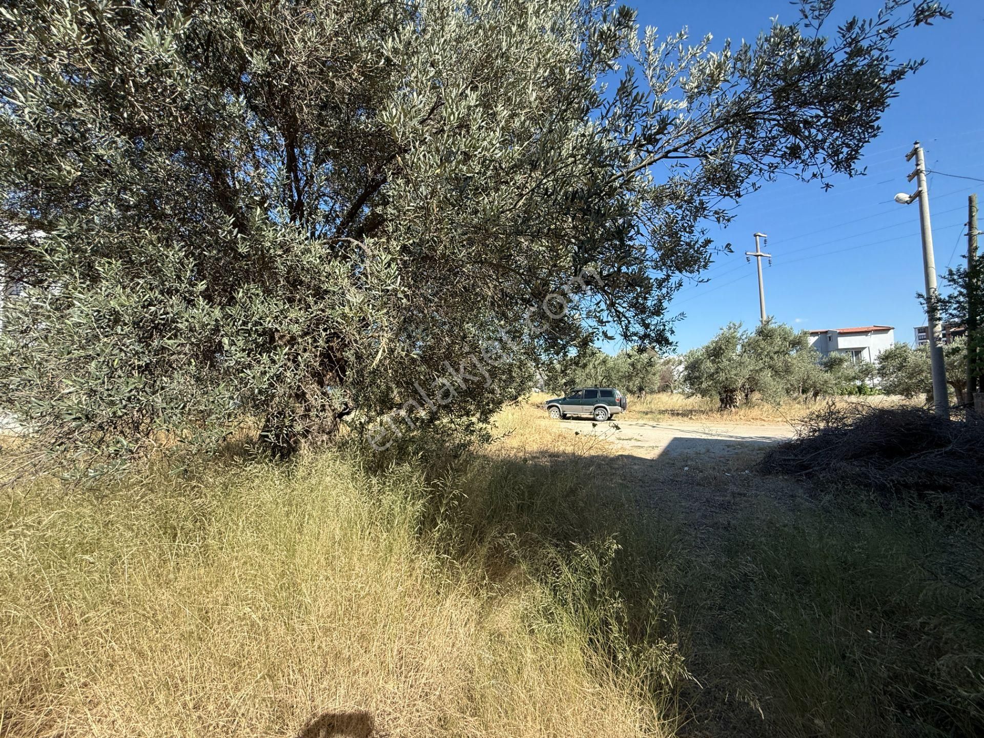 Kadıköy'de Konut İmarlı Satılık 2 Adet Arsa - Görsel 26