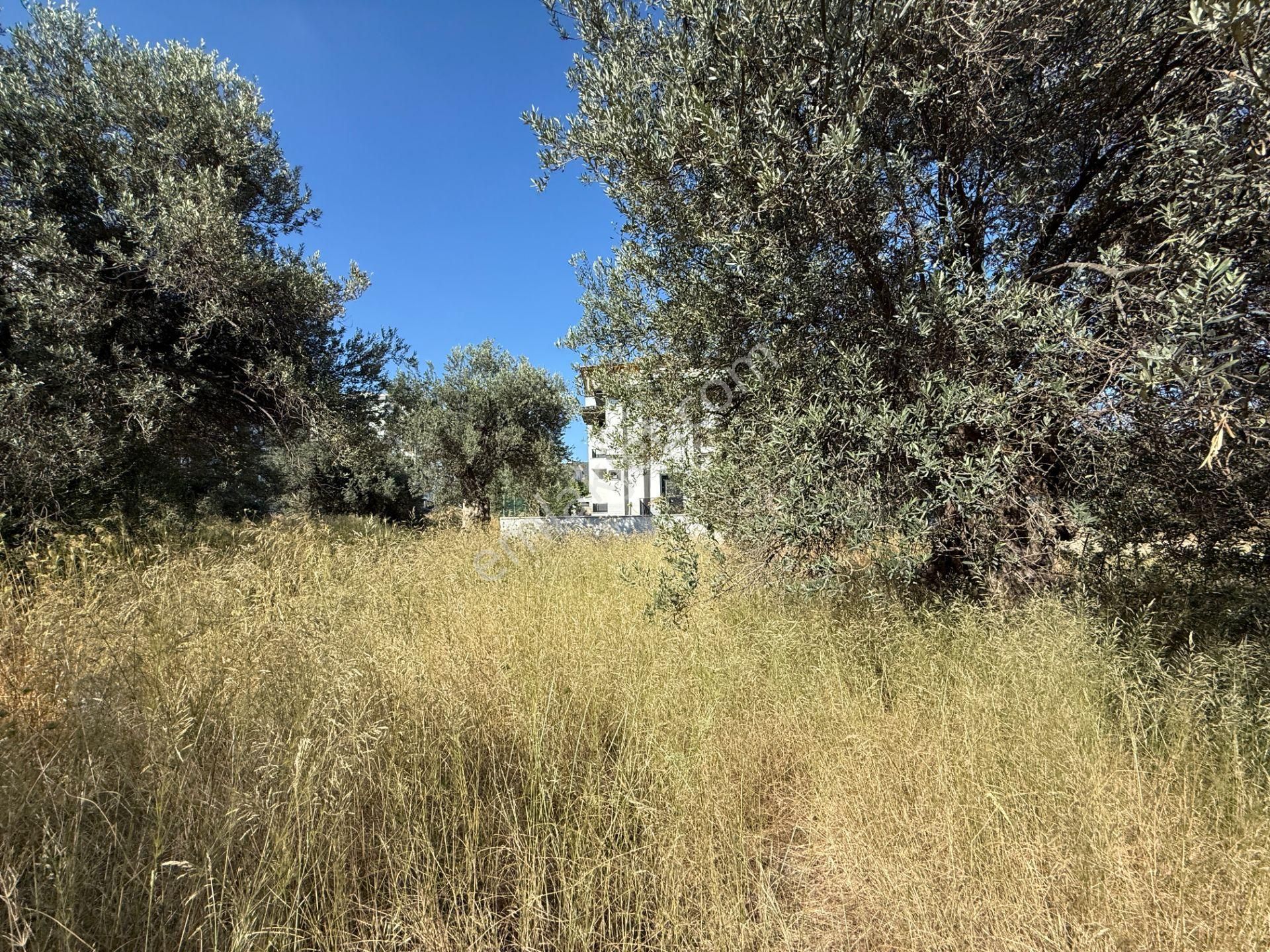 Kadıköy'de Konut İmarlı Satılık 2 Adet Arsa - Görsel 25