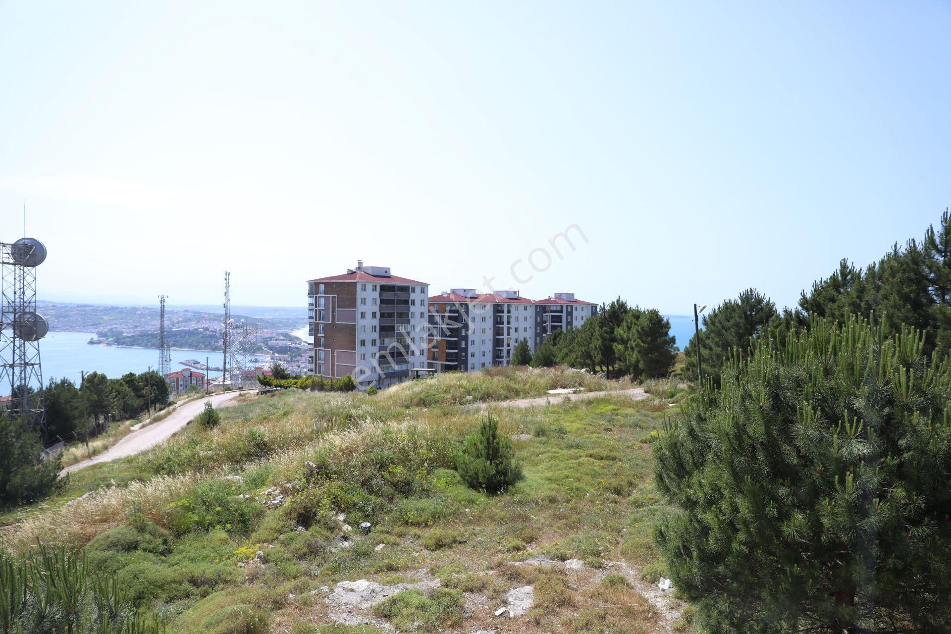 Sinop,ada Mahallesi 3 Oda 1 Salon, 145 M2 Satılık Daire - Görsel 3