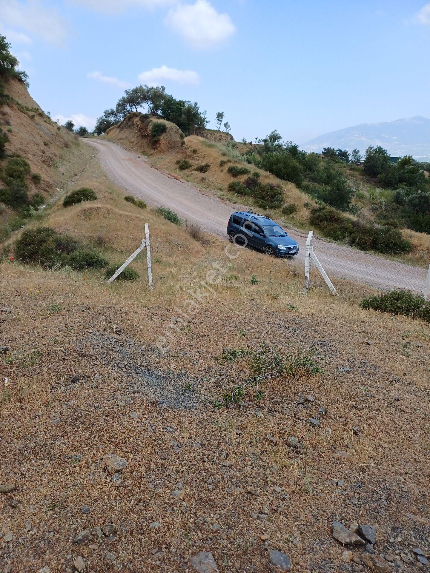 Sahibinden Bağyurdu Merkeze Çok Yakın Tek Tapu Zeytinlik - Görsel 6
