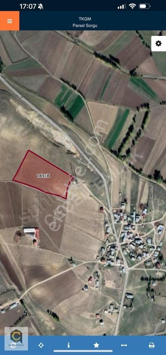 Arpalı Beldesi Çiçekli Mahallesinde 33 Dönüm Satılık Tarla