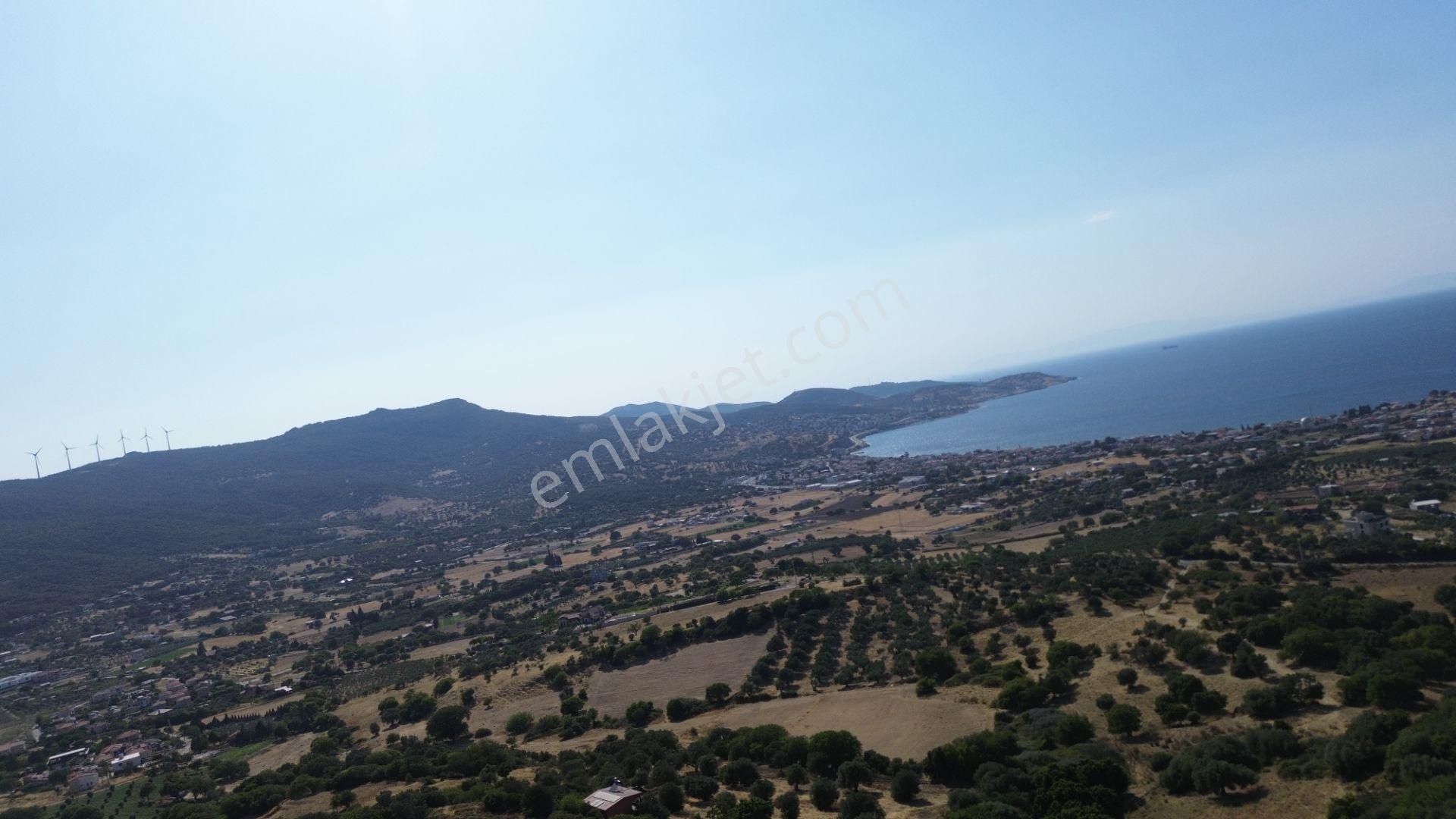 Turyap Foça'dan Reva Konaklarında Satılık Ultra Lüks 4+1 Villa - Görsel 3