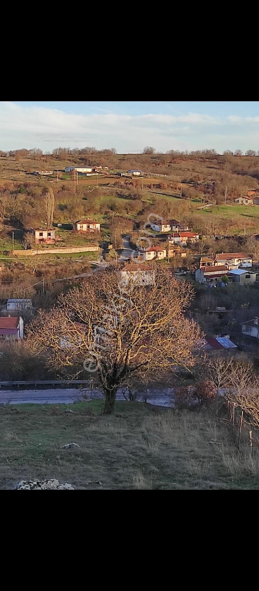 Sahibinden Köy Arsasi