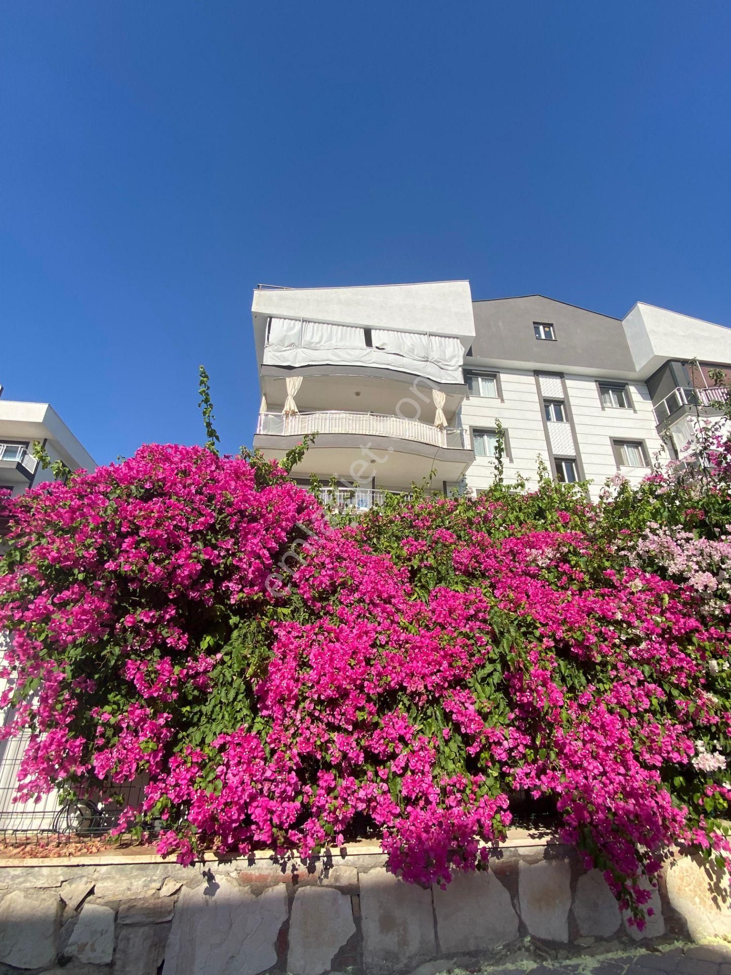 Kuşadası Yeni İkiçeşmelik Havuzlu Geniş Satılık 3+1 Daire