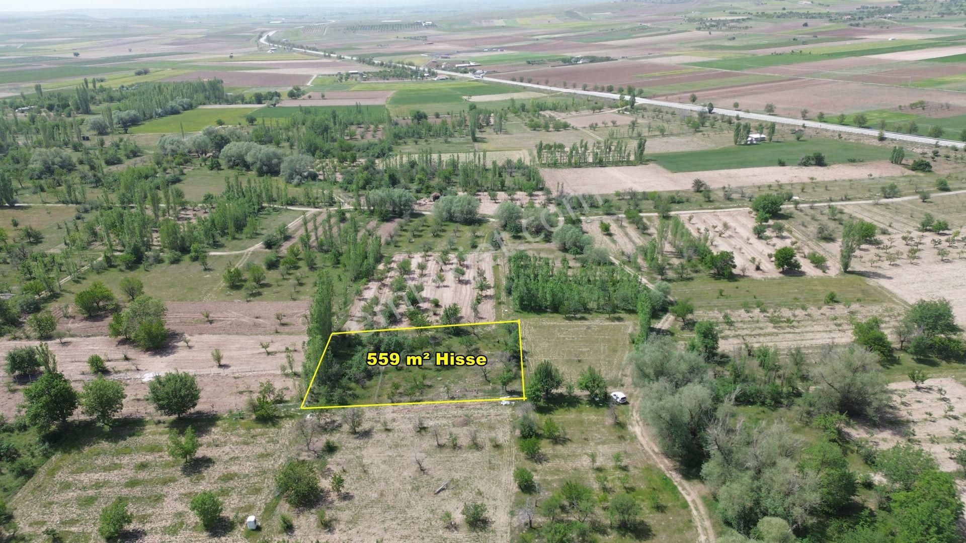 Konya / Meram / Hatunsaray Da 559 M² Hisseli Tarla