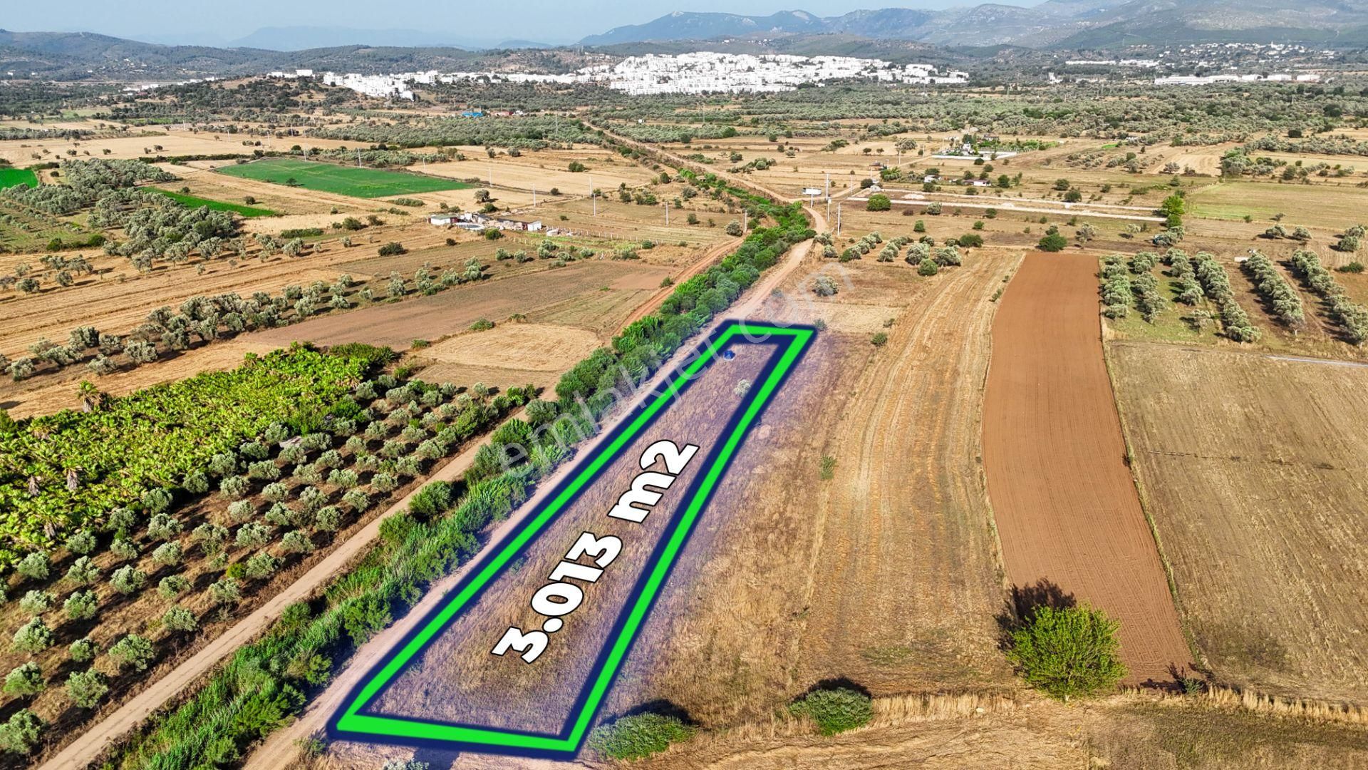 Bodrum Mumcular'da Yatırımlık Tarla Fırsatı!
