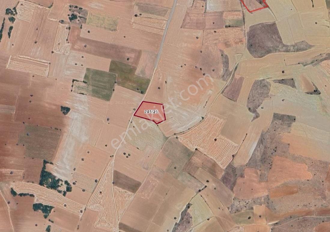 Beyşehir Yenidoğanda Satılık 4461 M2 Yatırım Fırsatı Tarla