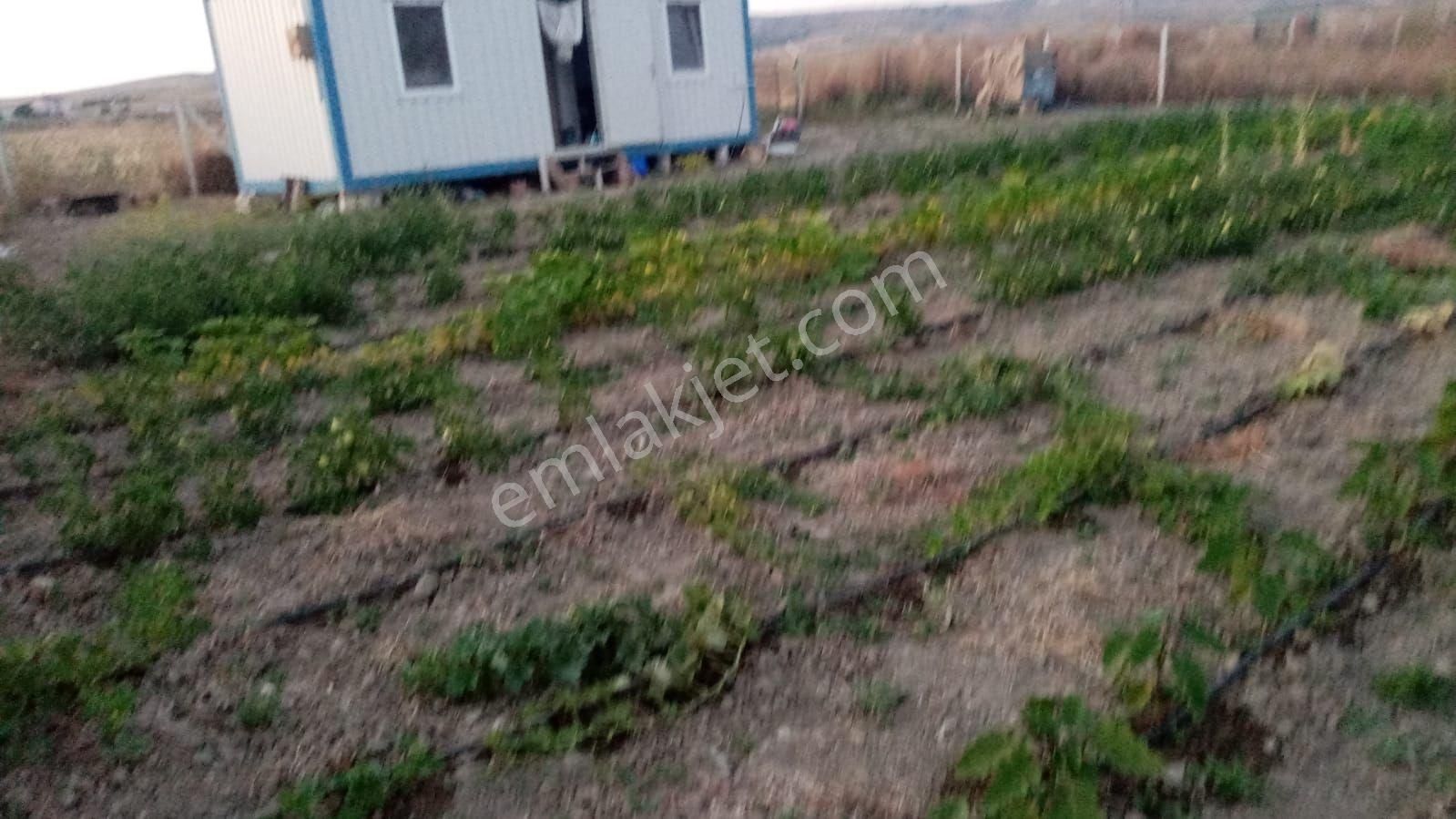 Esnaf Emlak'tan/ovasaray Köyü-mehlem Hobi Bahçelerinde 1040 M2 Hobi Bahçesi
