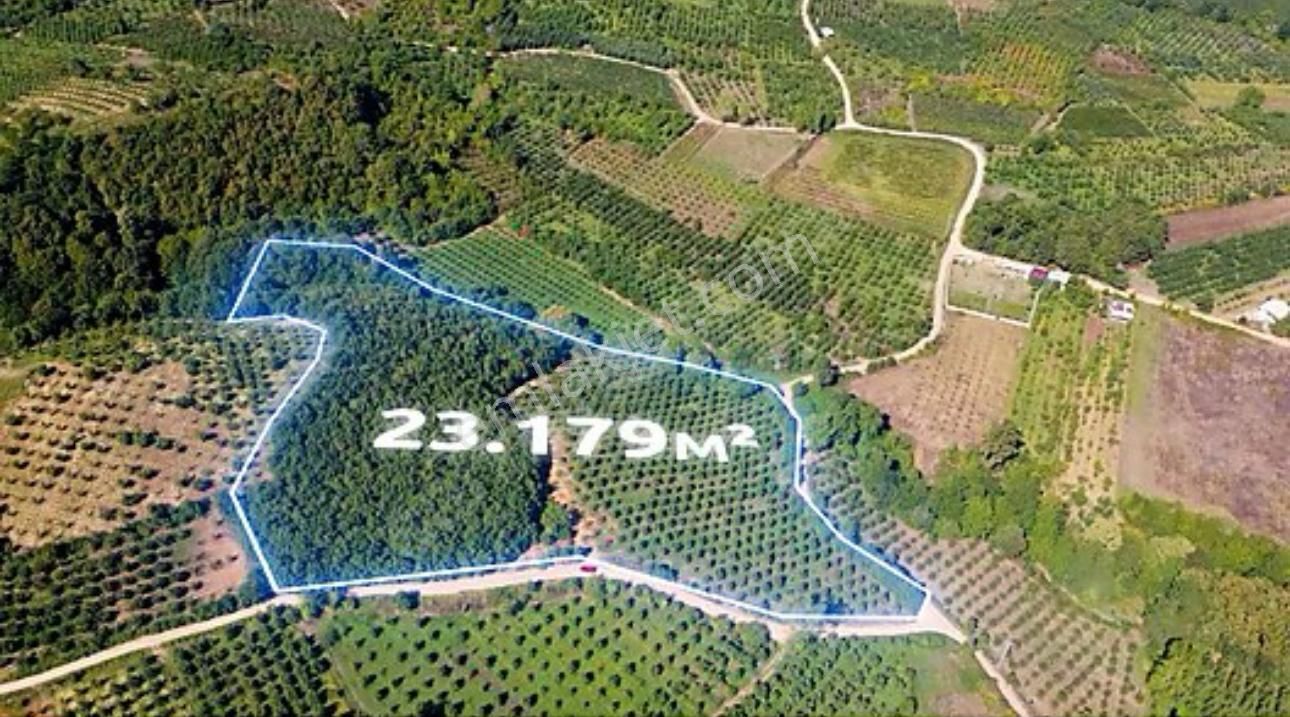 Bursa Da 23 Dönüm Uygun Fiyatlı Arazi
